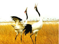 ���������P(gu��n)�|�ƘI(y��)���޹�˾