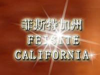 ���_(t��i)���R��˹�����Ѿ����޹�˾