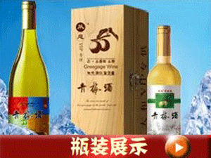 �ػʍu�A�����Q���޹�˾