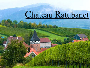 ��ɽ�����D�ټ{�Q(m��o)�����޹�˾