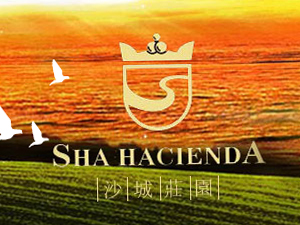 �ӱ�ɳ���f�@���Ѿ����޹�˾