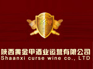 ����S��׾ƘI(y��)�\�I���޹�˾