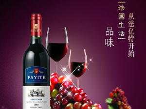 ���_(t��i)���|�����Ѿ����޹�˾