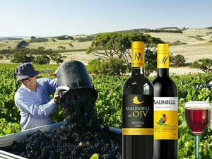 ����Ʒ�ǾƘI(y��)���޹�˾