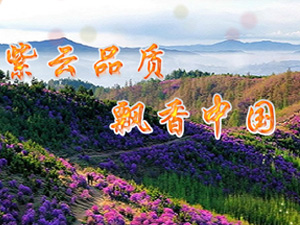 ���ƎX�ƘI(y��)��˾