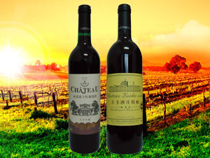 �ػʍu��쳱����Ѿ����޹�˾