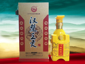 ���՝h������I(y��ng)�N���޹�˾