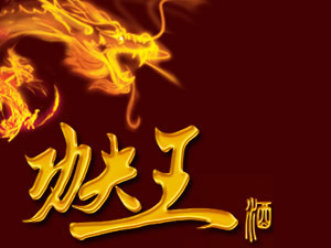 �o�ݹ���ƘI(y��)���޹�˾