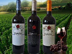 �Ϻ���������H�Q(m��o)�����޹�˾