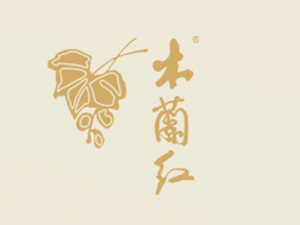 ����ľ�m�t�ƘI(y��)���޹�˾