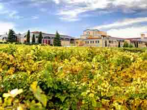 Ʒ�R�ã��B�T���ƘI(y��)���޹�˾