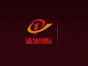 ���⣨�Ϻ�����(gu��)�H�Q(m��o)�����޹�˾