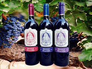 �Ϻ���(l��)���M(j��n)�������޹�˾