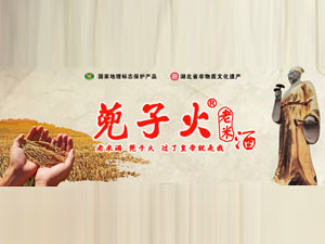 ������P�ƘI(y��)���޹�˾