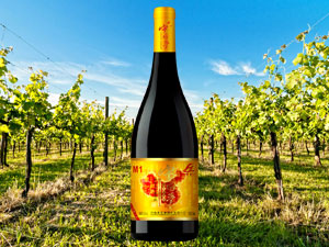 ���ϻݶ����ƘI(y��)���޹�˾