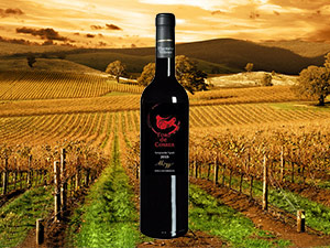 �����ǵ��M(j��n)�����Q(m��o)�����޹�˾