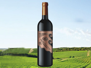 �����гɾƘI(y��)���޹�˾