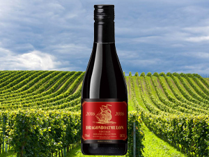 ������¶�ƘI(y��)�����ڣ����޹�˾