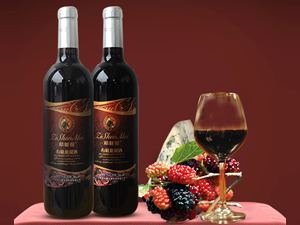 ��������ݮ����Ƽ����޹�˾