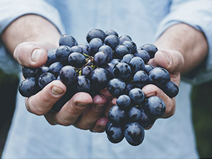 �}���а����D�ƘI(y��)�M�����Q(m��o)�����޹�˾