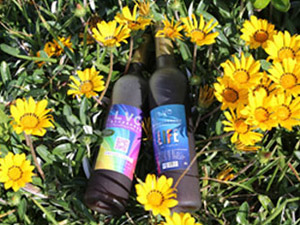 ÷�����ĹŌ�(sh��)�I(y��)���޹�˾