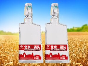 �����Ƈ�(gu��)���x�ƘI(y��)���޹�˾��ţ��