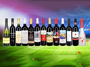 ���ݬ�ɯ��ƘI(y��)���޹�˾