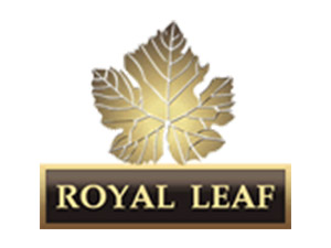 �������y���ƘI(y��)���޹�˾