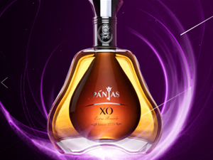 �B�T���м��M�������޹�˾