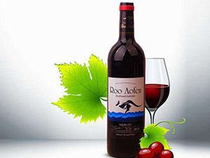 �Ϻ������M�������޹�˾