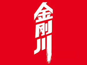 ���Ͻ������Ƽ����޹�˾