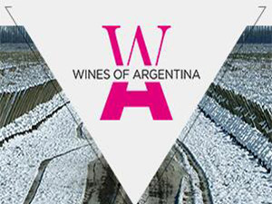 ������˼�@�ƘI(y��)���޹�˾