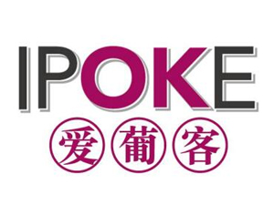 �V�ݐ��Ͽ;ƘI(y��)���޹�˾