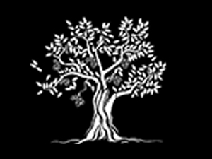 ɽ�|驘�������Ƽ����޹�˾