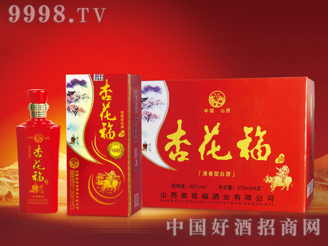 �ӻ�����10