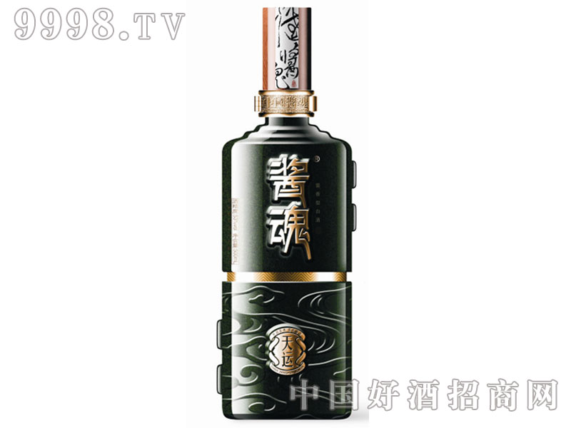 ����ϵ��-���\