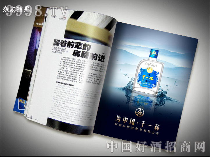 ��ZҺ�ɷ����޹�˾��һ��-�s־