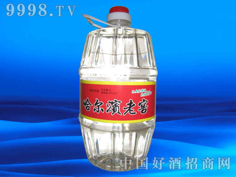 4L�����I�Ͻ�