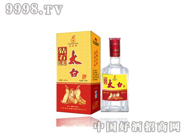 �@ʯӭ�e̫�׾�