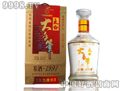 ���ֹP������1991��