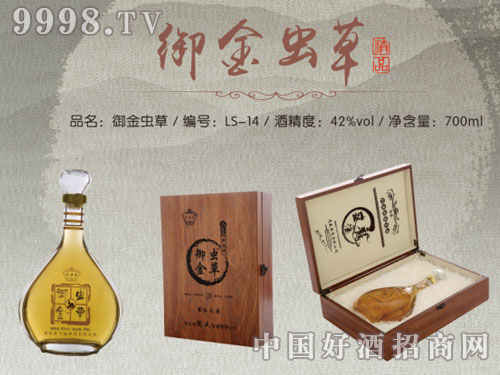 ��ʢ����-�����x�ݾ�