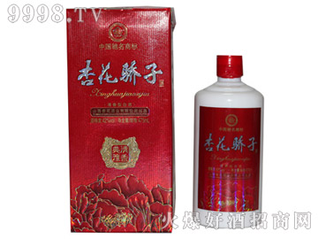 �ӻ�����������ž�