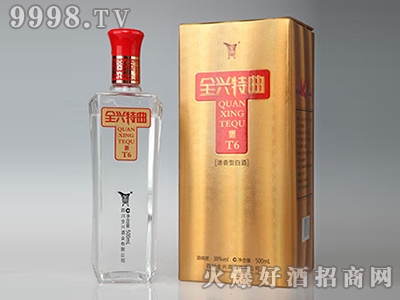 ȫ�d������T6