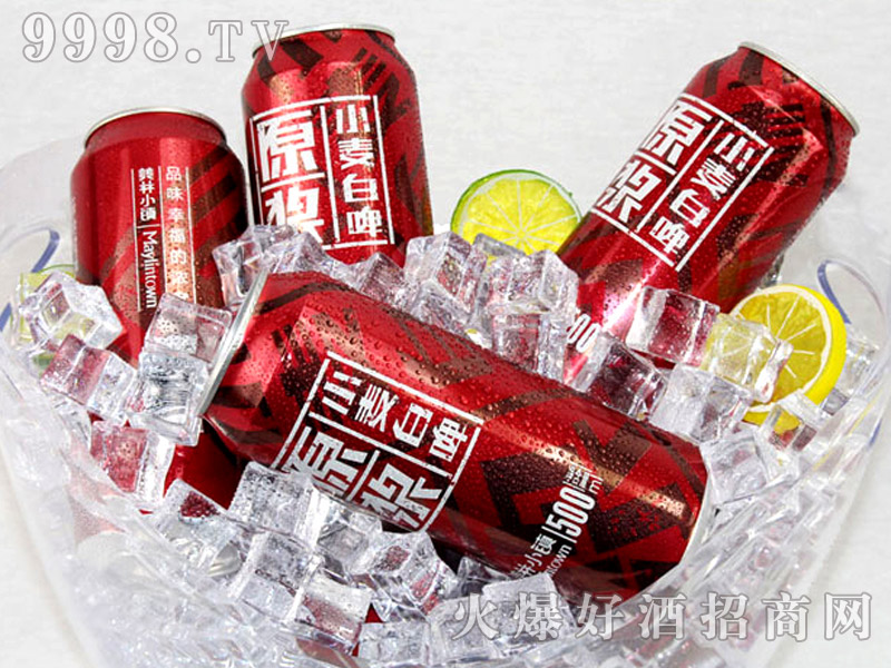 500ML����С�(zh��n)ơ�Ƽt�ޑ���ƪ-����ƪ-(5)