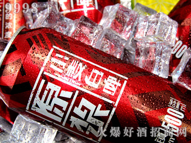 500ML����С�(zh��n)ơ�Ƽt�ޑ���ƪ-����ƪ-(4)