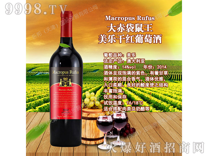 �������������ɼt���Ѿ�