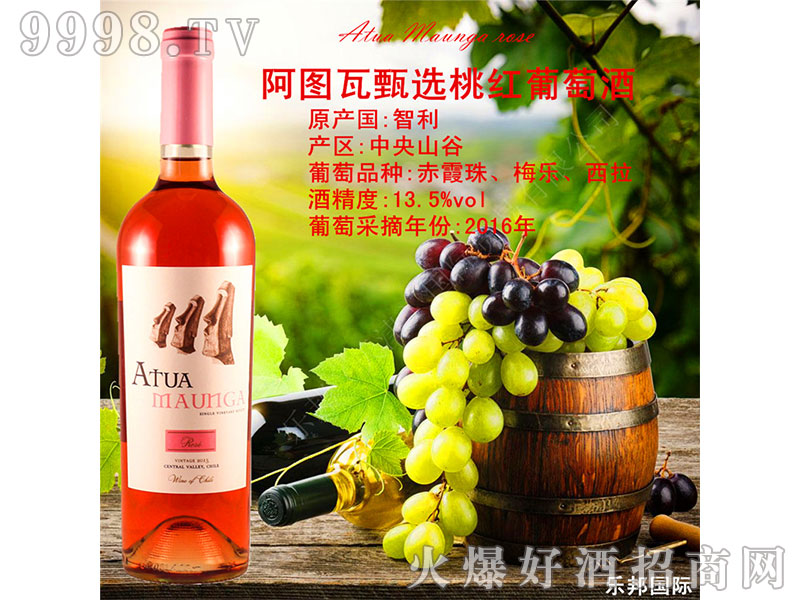 ���D�����x�Ҽt���Ѿ�