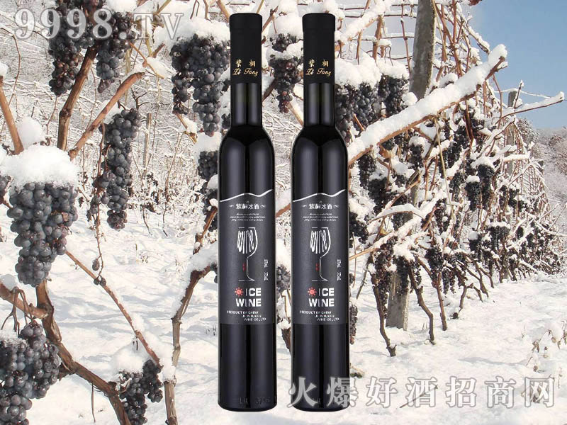 ��ͩ�������t���Ѿ�