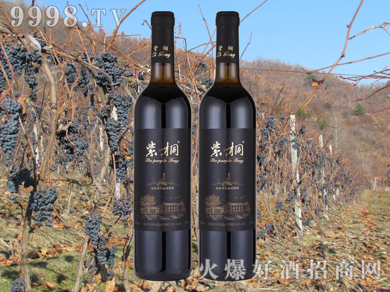 ��ͩ��(y��u)�x����ɽ���Ѿ�