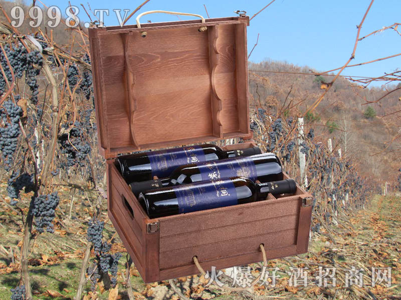 ��ͩ���x����ɽ���Ѿƣ��䣩